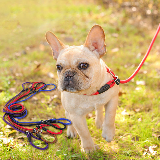 Pet leash