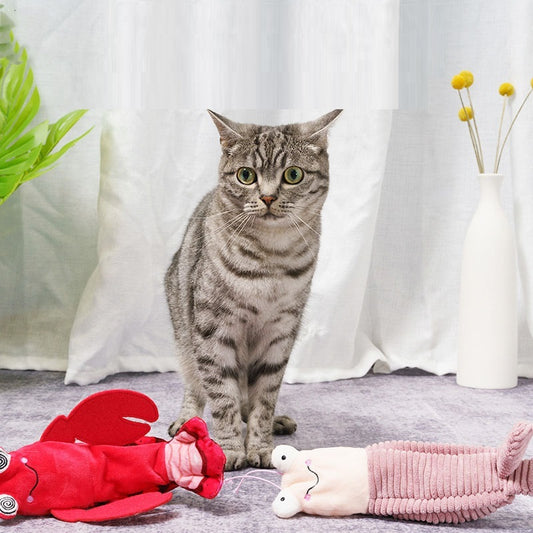Electric Automatic Cat Toys