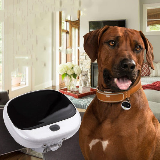 Portable Pet Collar