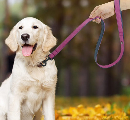 Pet Pull-resistant Leather Leash