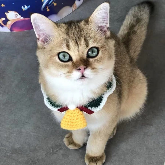 Wool Pet Collar